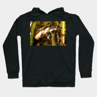 grass snake with a fish Hoodie